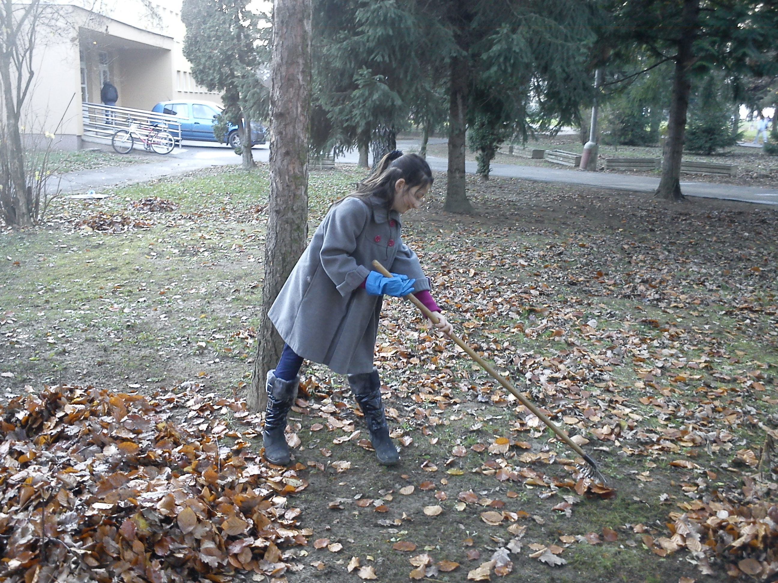 DSC00073